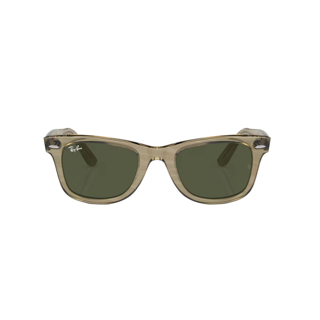 Gafas Ray-Ban Wayfarer Change Unisex