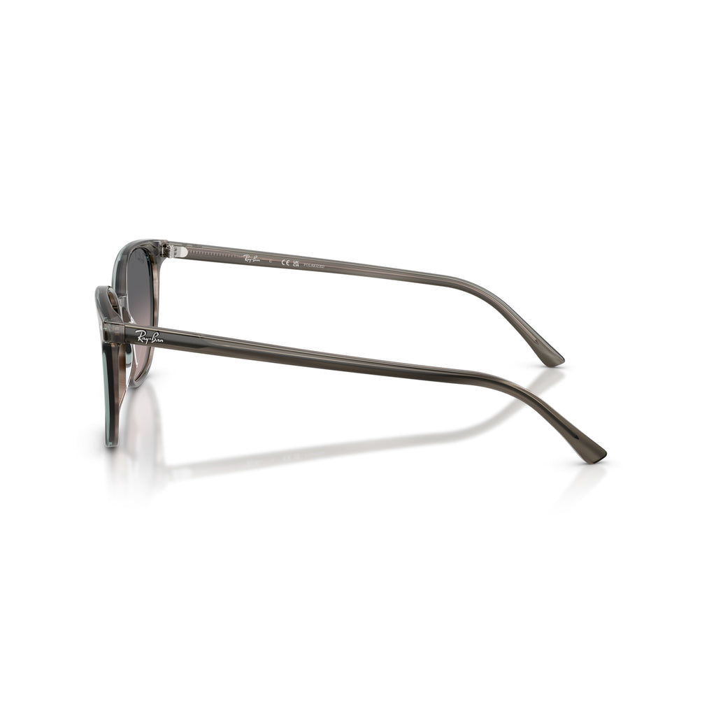 Gafas Ray-Ban Elliot Unisex