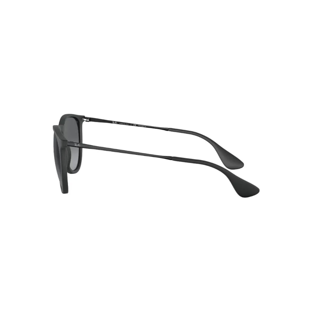 Gafas Ray-Ban Erika Color Mix Unisex