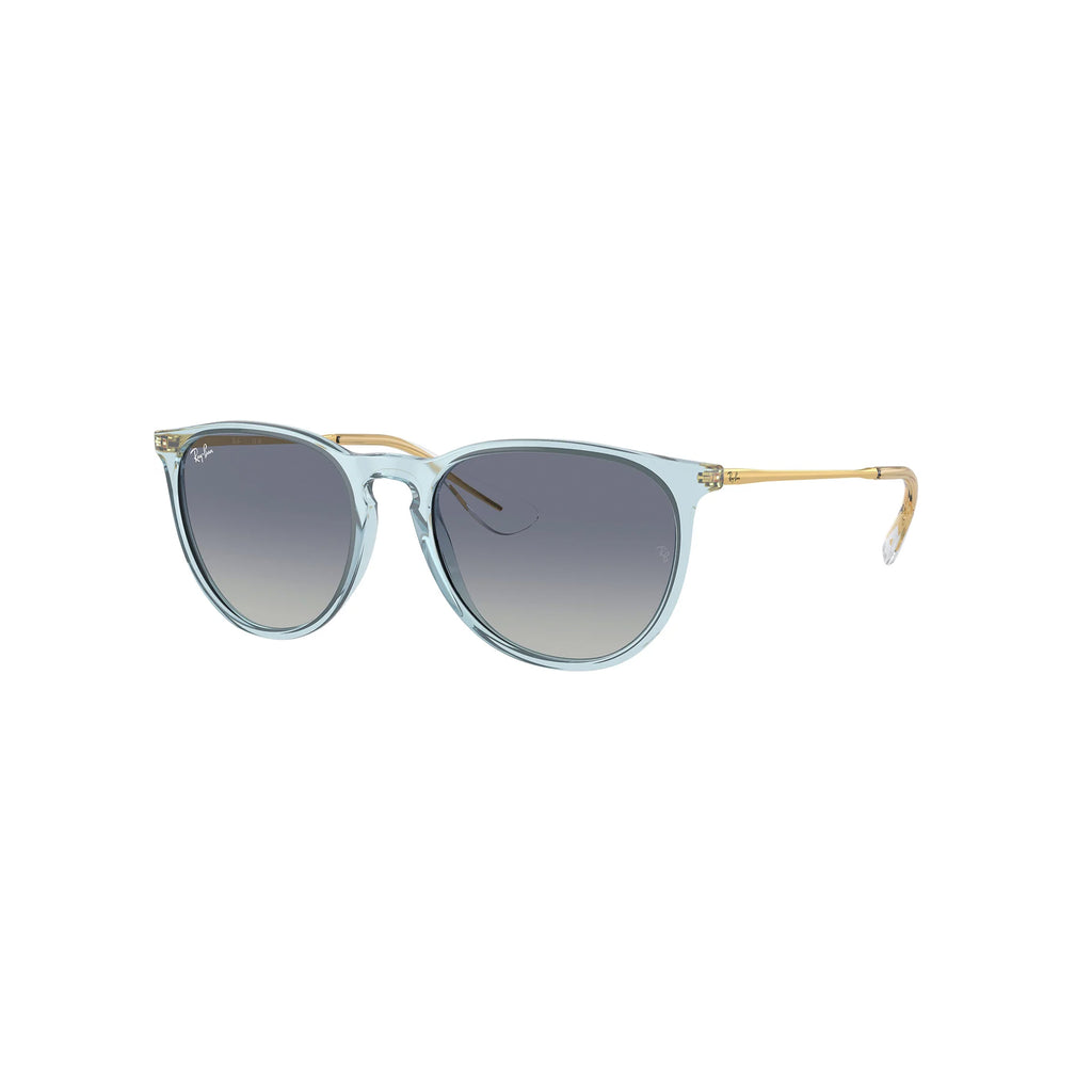 Gafas Ray-Ban Erika Unisex