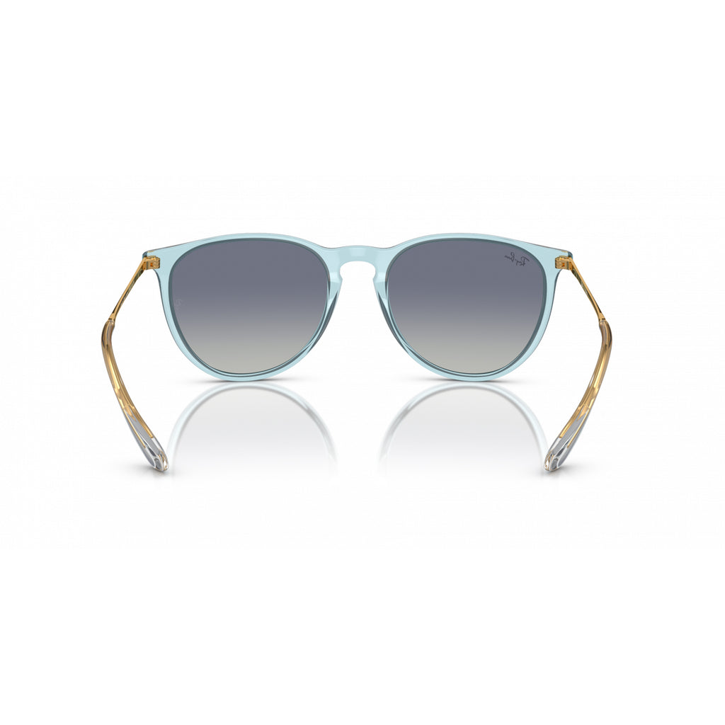 Gafas Ray-Ban Erika Unisex