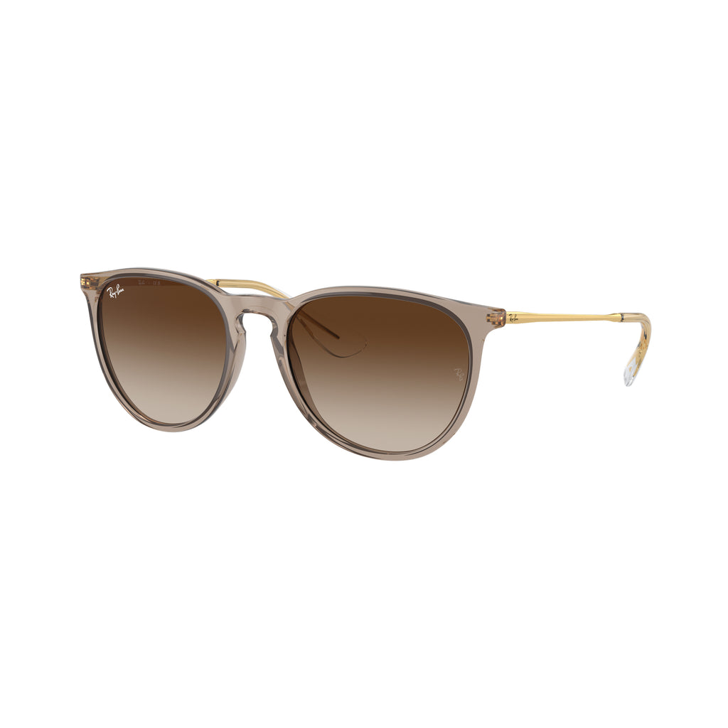 Gafas Ray-Ban Erika Classic Unisex