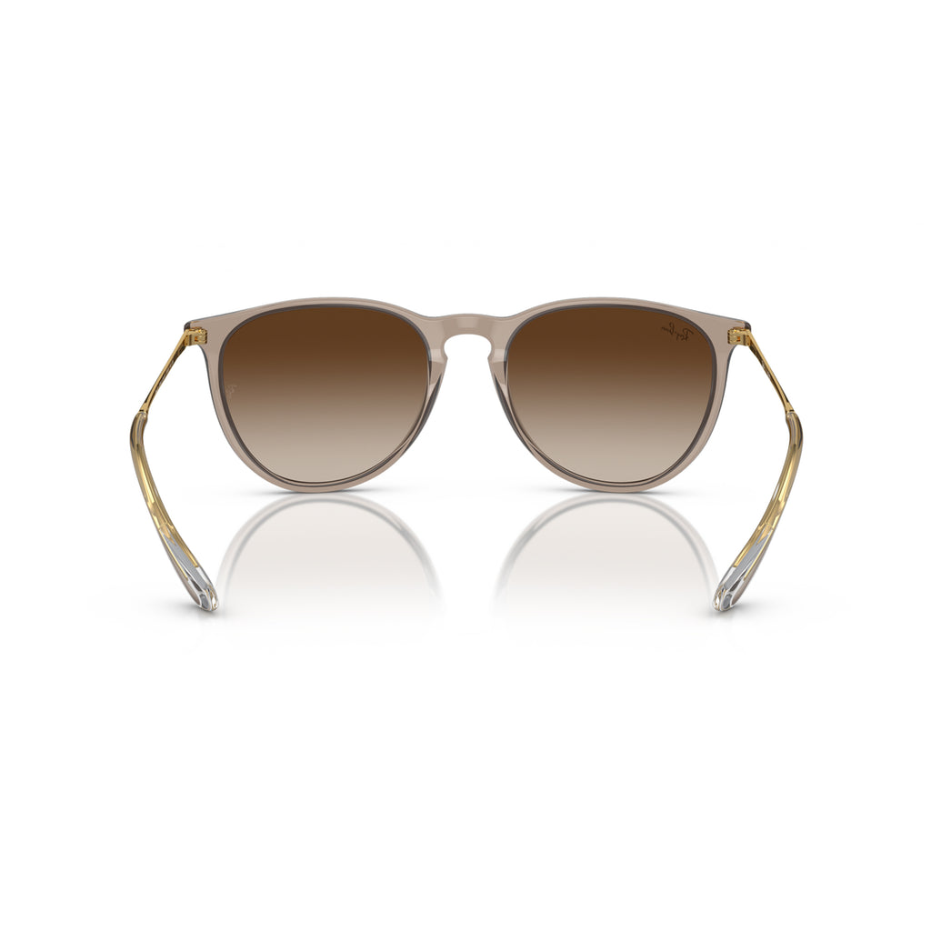Gafas Ray-Ban Erika Classic Unisex