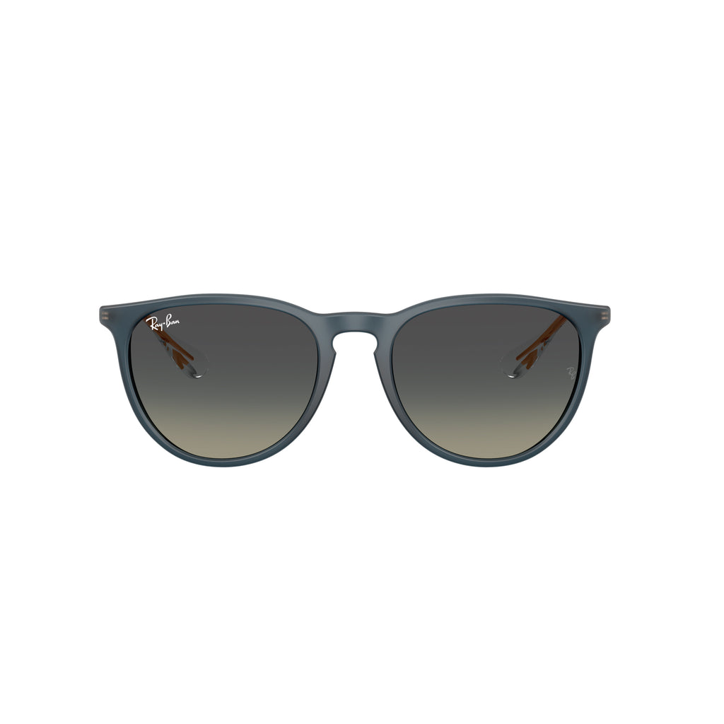 Gafas Ray-Ban Erika Unisex