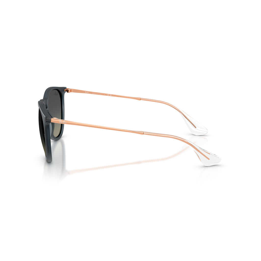 Gafas Ray-Ban Erika Unisex