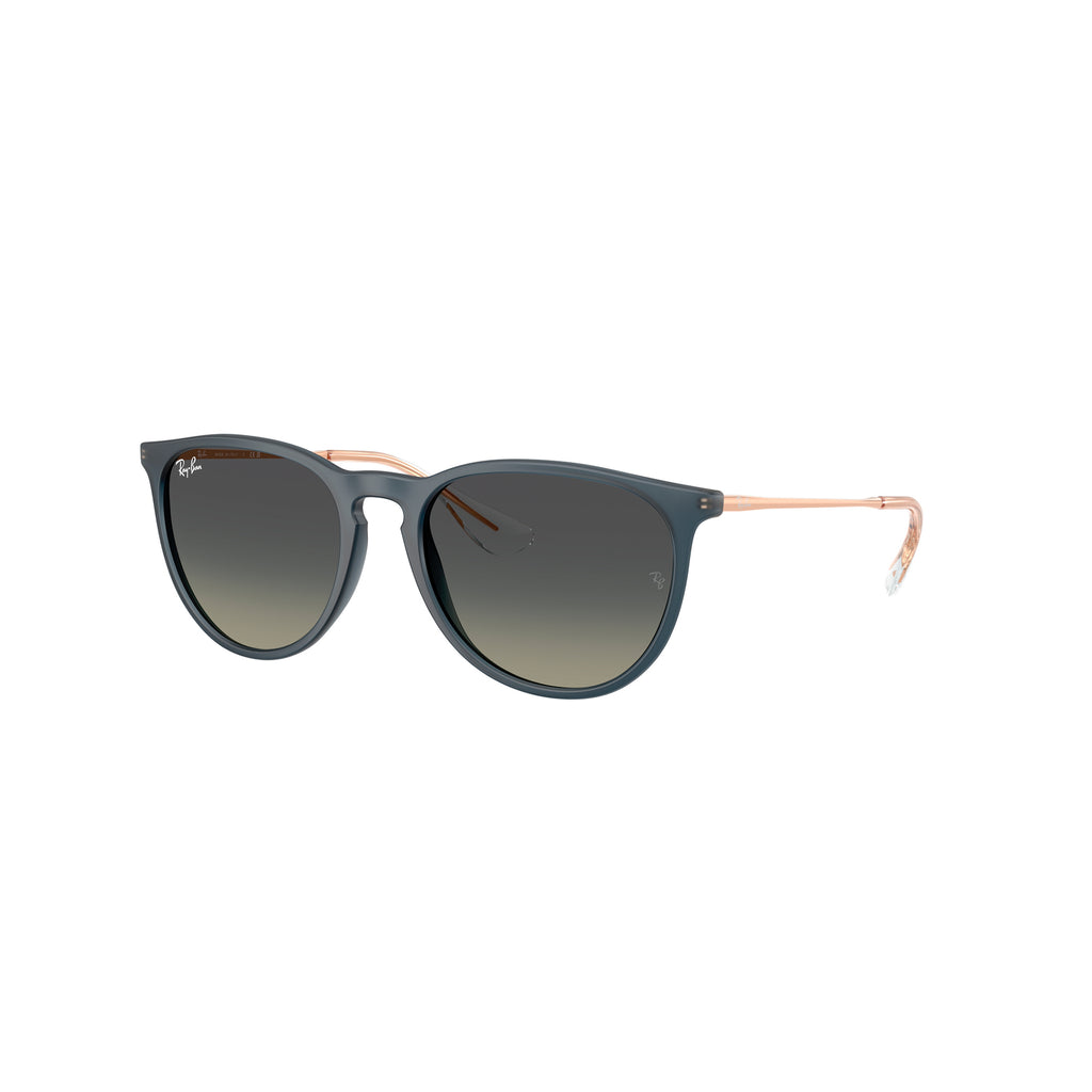 Gafas Ray-Ban Erika Unisex