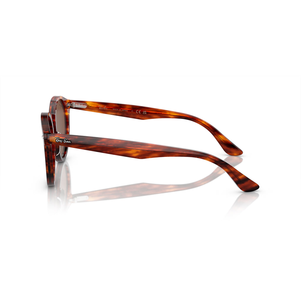 Gafas Ray-Ban Larry Unisex