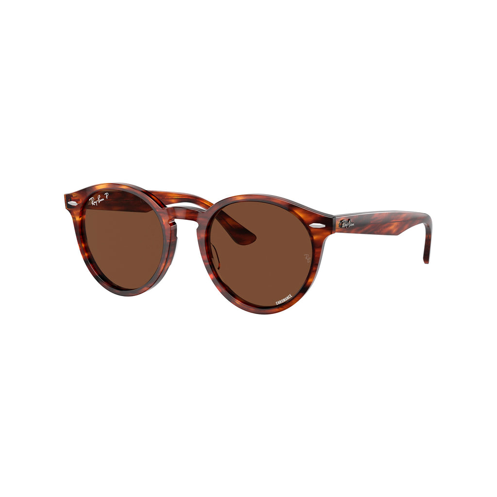Gafas Ray-Ban Larry Unisex