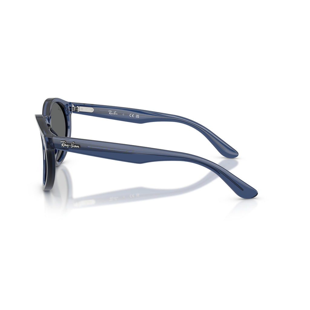 Gafas Ray-Ban Reverse Unisex