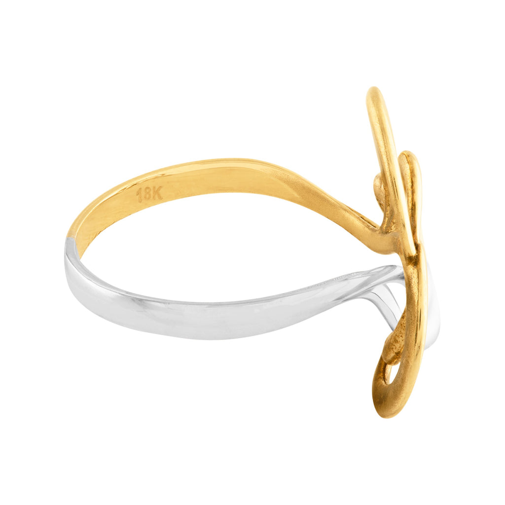 ANILLO DE ONDAS