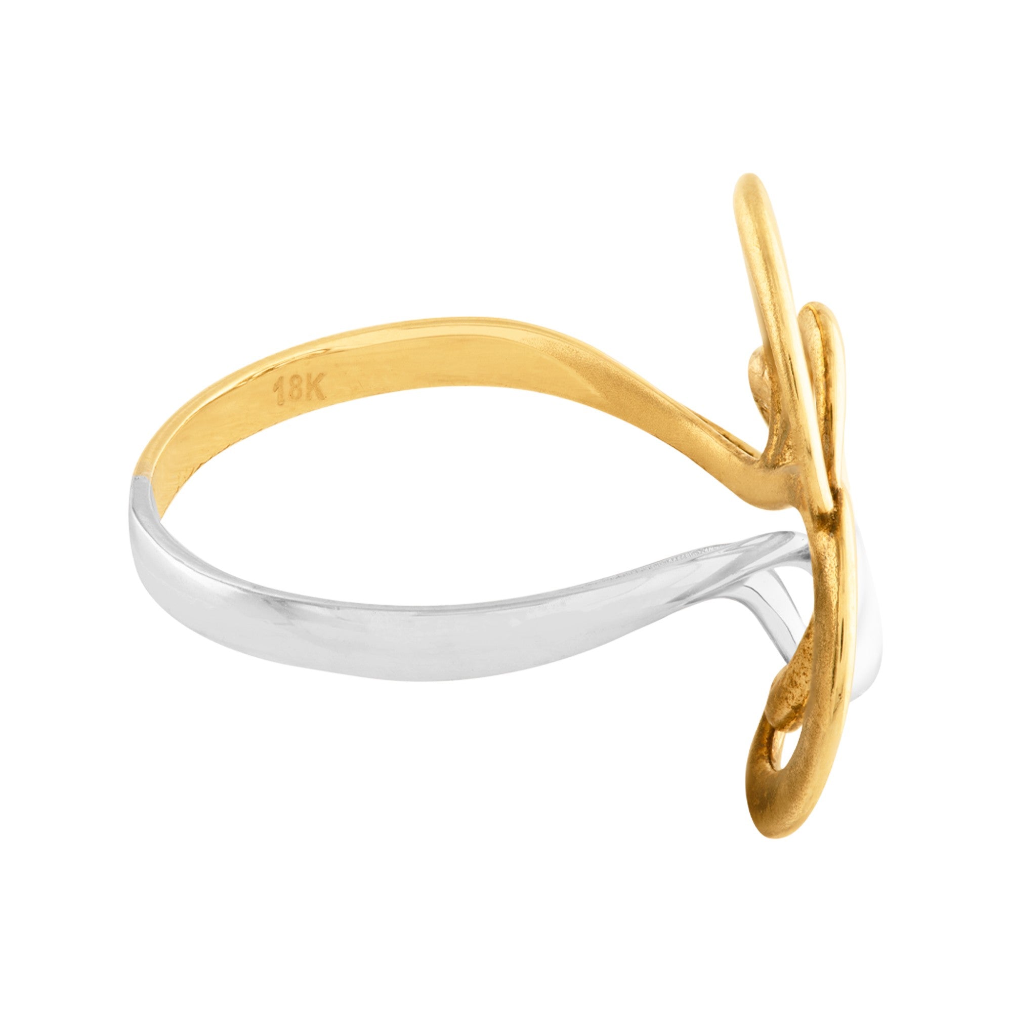 ANILLO DE ONDAS