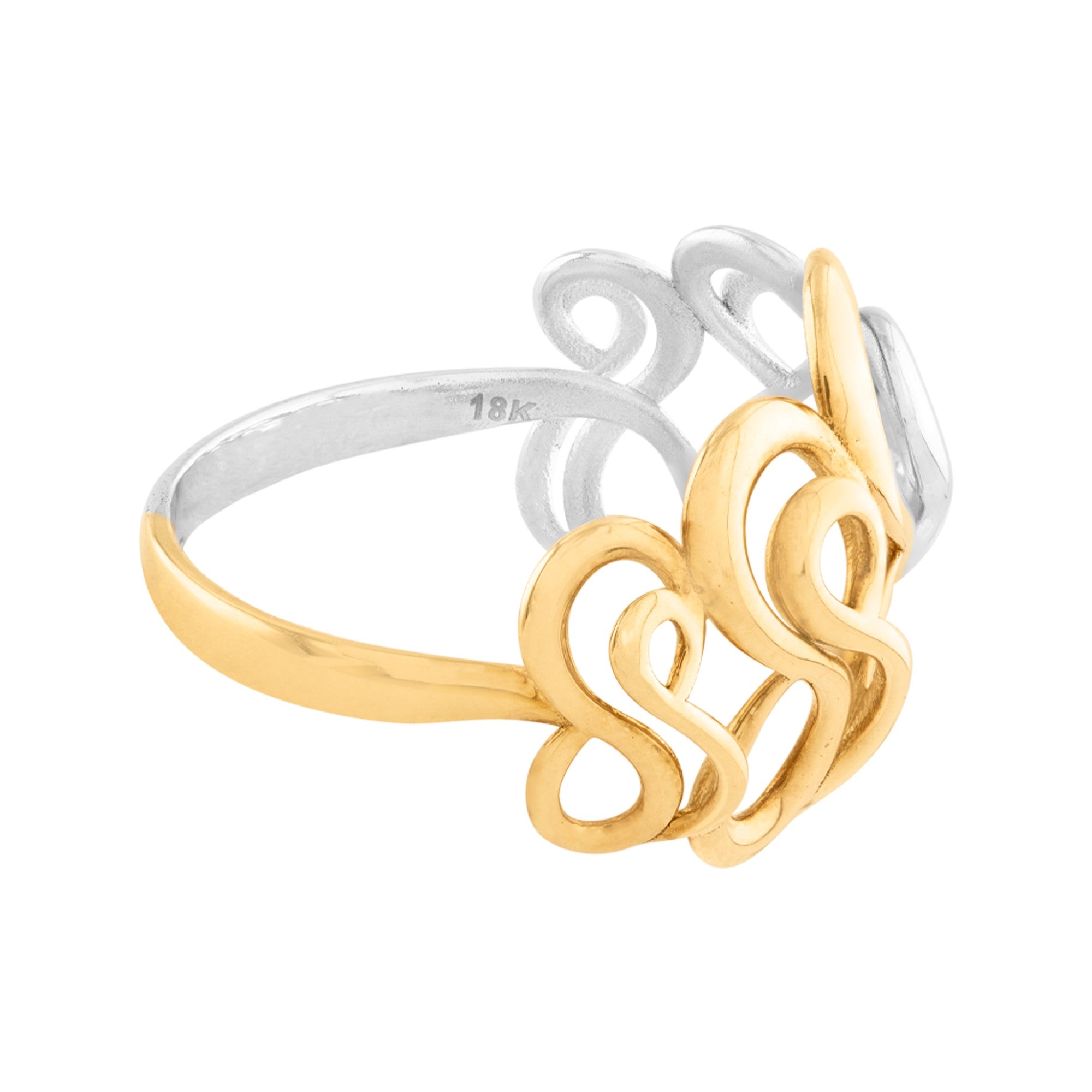 ANILLO DE ONDAS