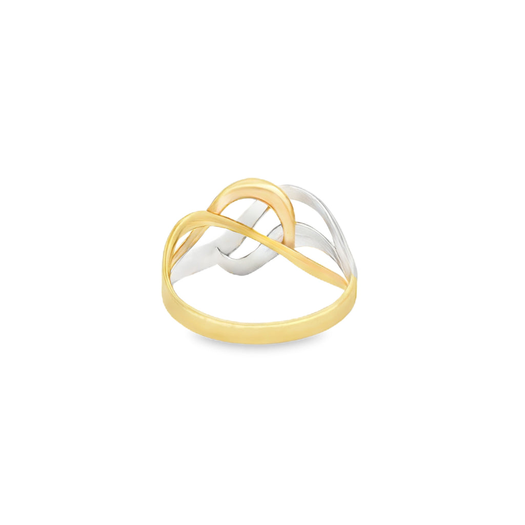ANILLO ONDAS