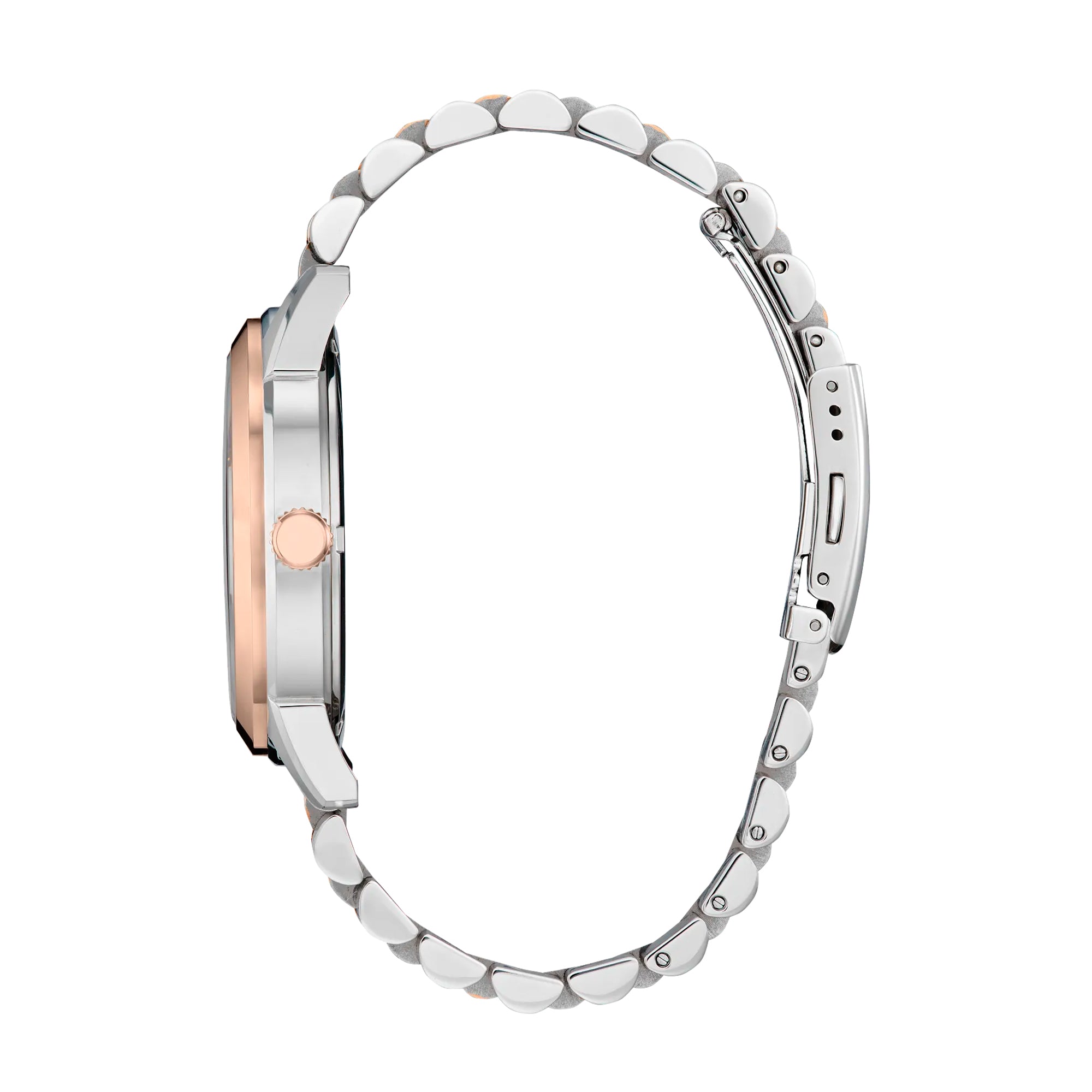 Reloj Citizen Rolan Caballero