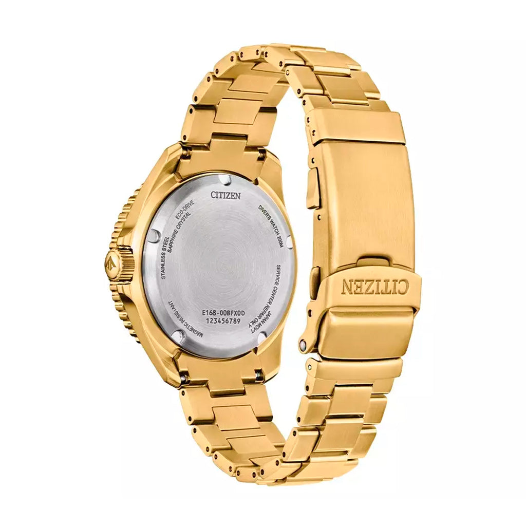 Reloj Citizen Promaster Dive Caballero
