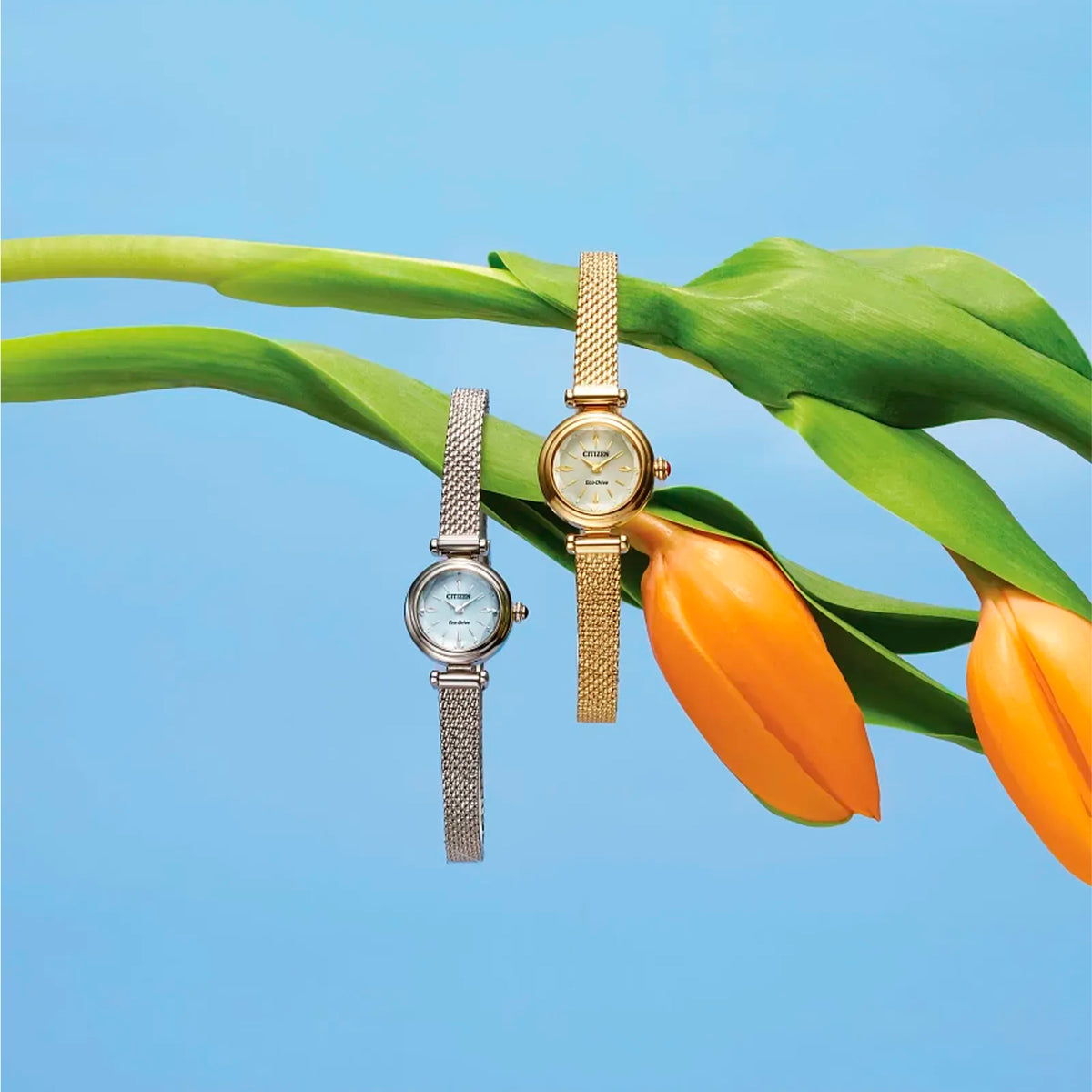 Reloj Citizen Fio Dama