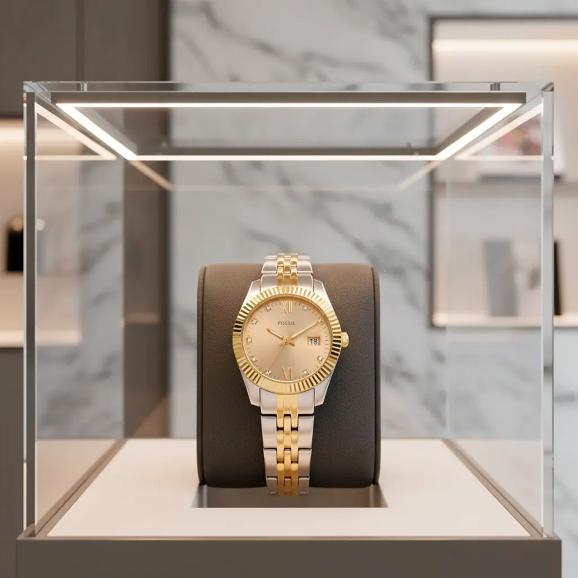 Reloj Fossil Scarlette Dama