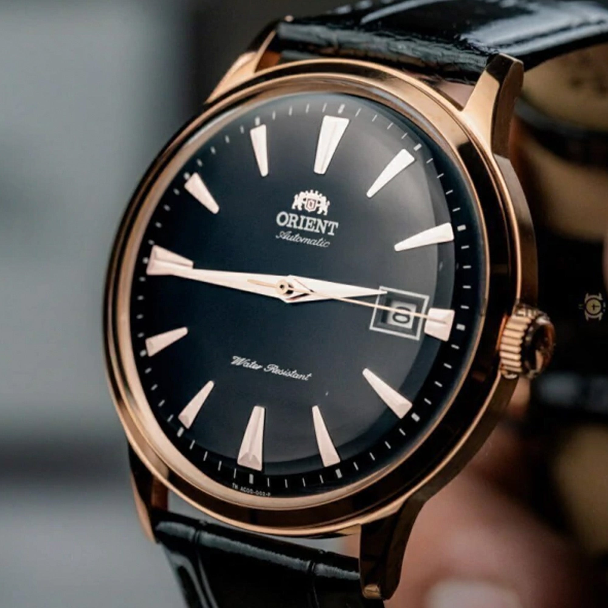 Reloj Orient Bambino Caballero