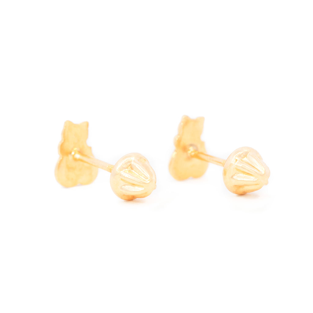 ARETES GATO ZIRCÓN